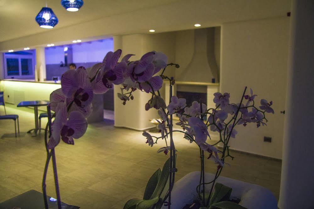 La Bella Trani - Suites And B&B Zewnętrze zdjęcie